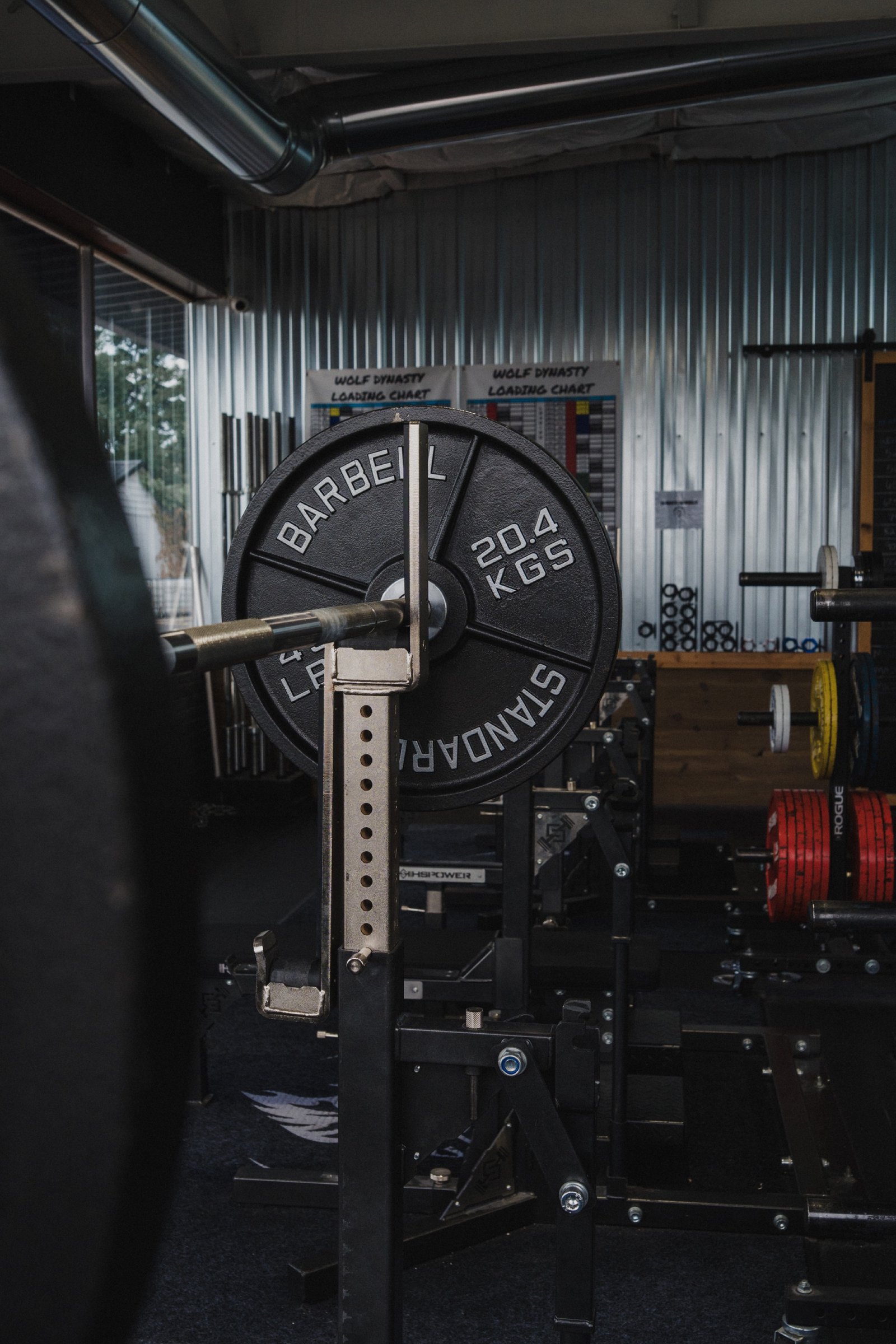 A black 20.4kg standard plate racked in front of the laminated Wolf Dynasty loading-chart sheets.